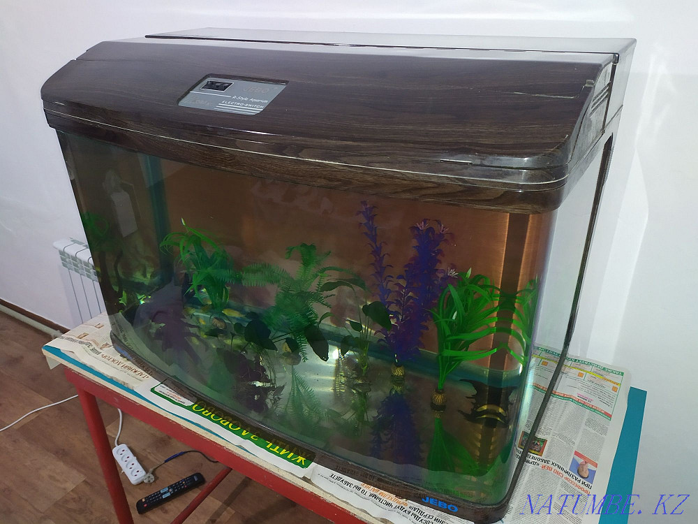 3-room apartment Almaty - photo 4