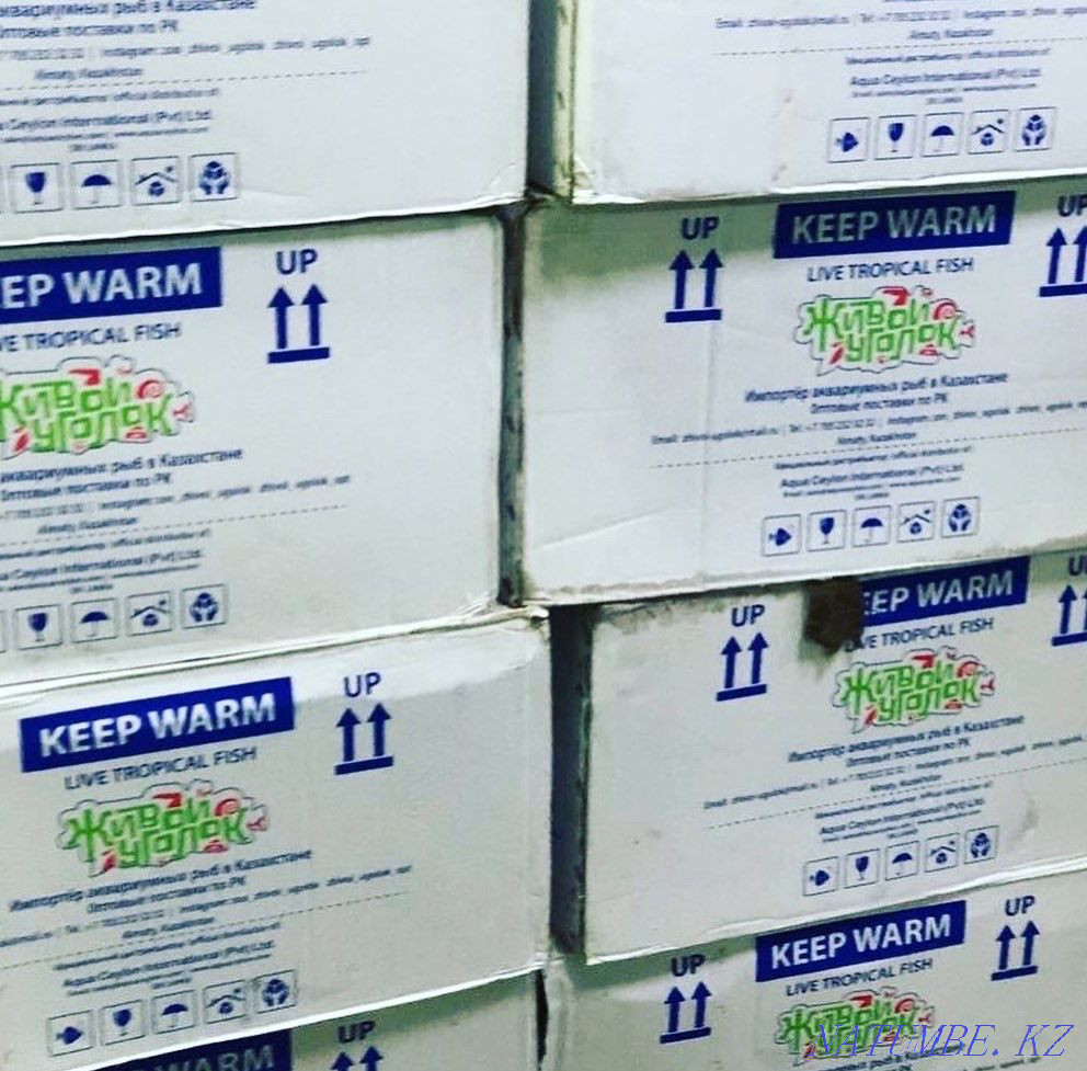 3-room apartment Almaty - photo 6