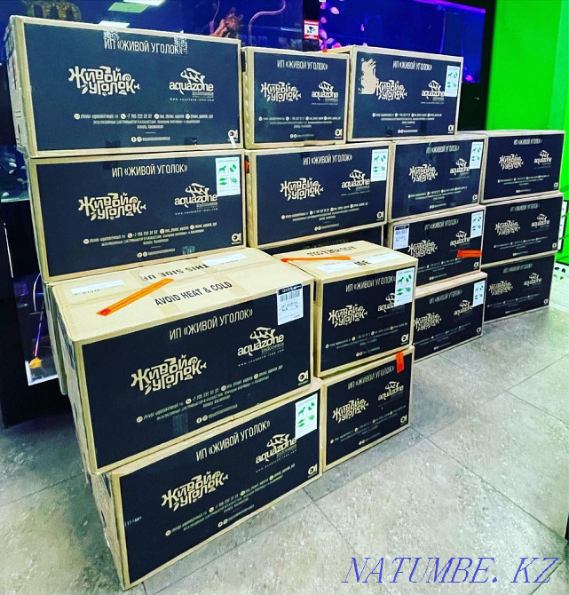 3-room apartment Almaty - photo 5