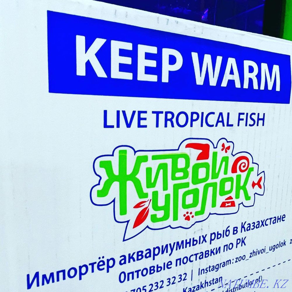 3-room apartment Almaty - photo 3