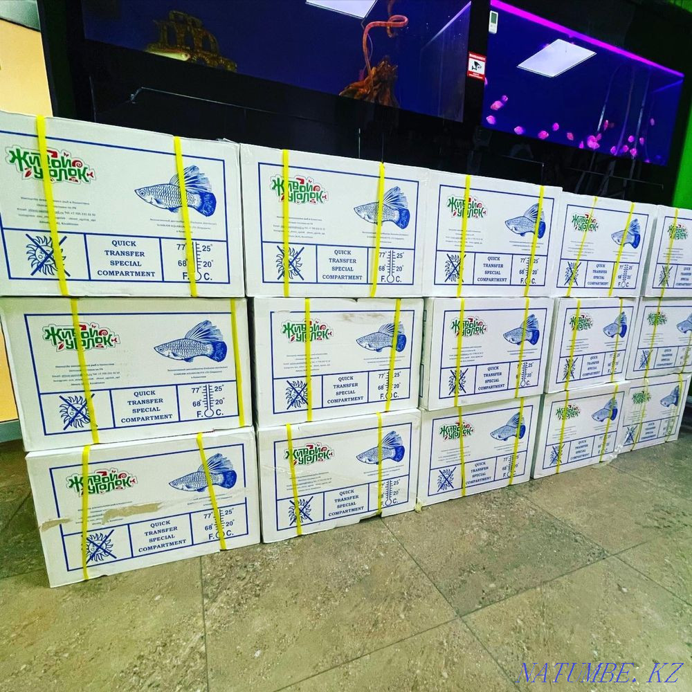 3-room apartment Almaty - photo 1