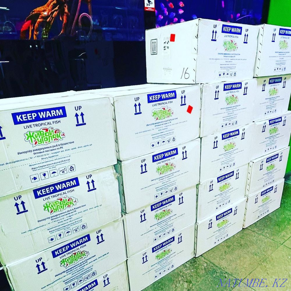 3-room apartment Almaty - photo 2