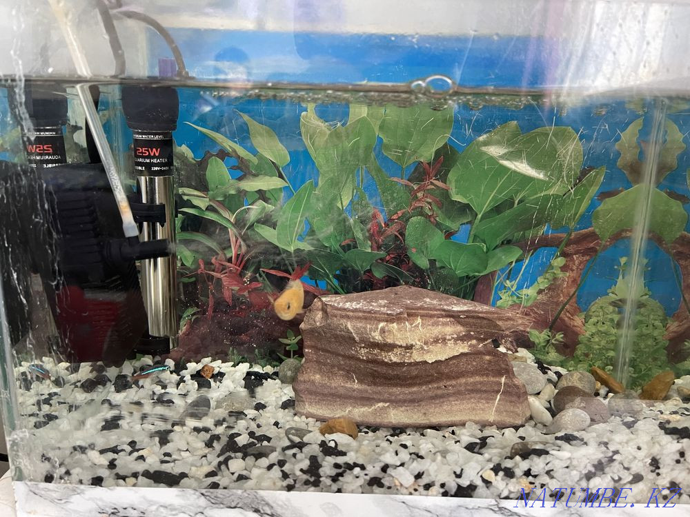 3-комнатная квартира Астана - изображение 1