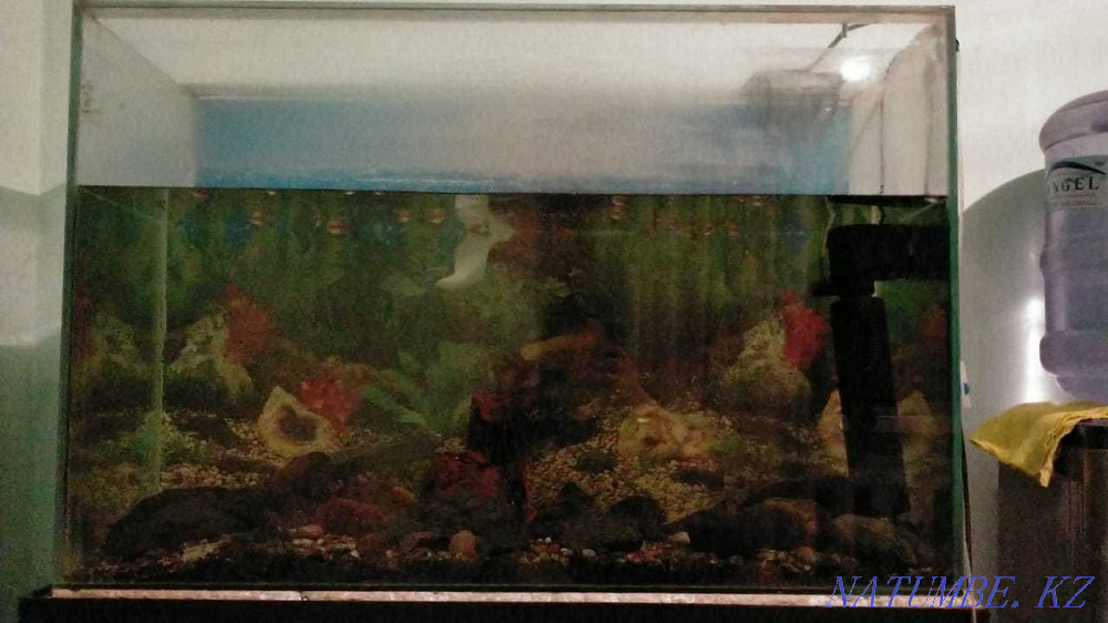 3-room apartment Almaty - photo 1