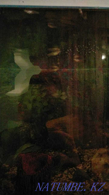 3-room apartment Almaty - photo 3