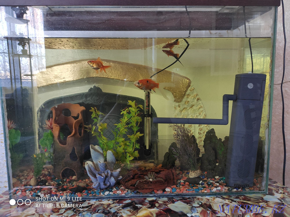 3-комнатная квартира Костанай - изображение 1