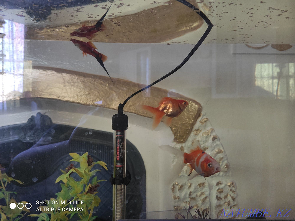 3-комнатная квартира Костанай - изображение 3