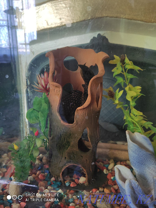 3-комнатная квартира Костанай - изображение 2