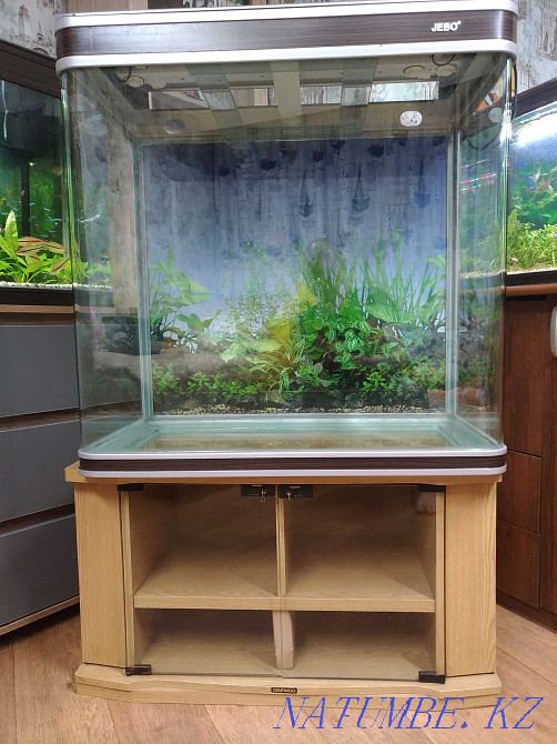 3-комнатная квартира Алматы - изображение 3