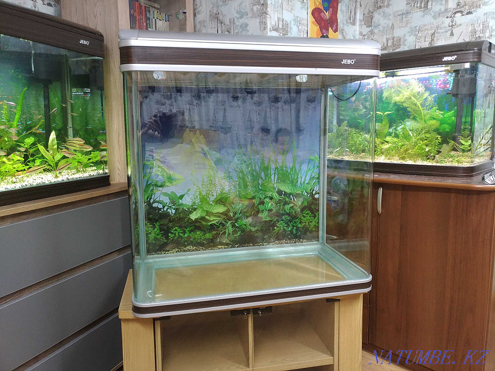 3-комнатная квартира Алматы - изображение 2