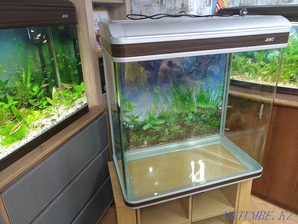 3-комнатная квартира Алматы - изображение 4