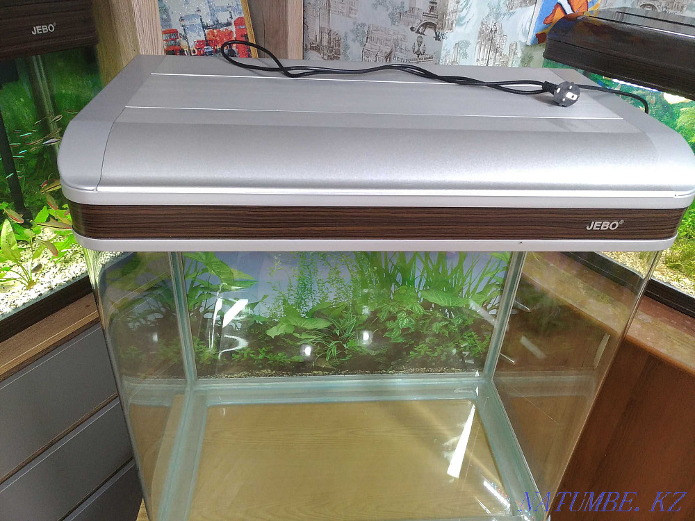 3-комнатная квартира Алматы - изображение 5