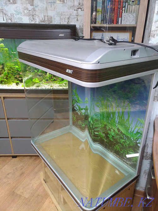 3-комнатная квартира Алматы - изображение 6