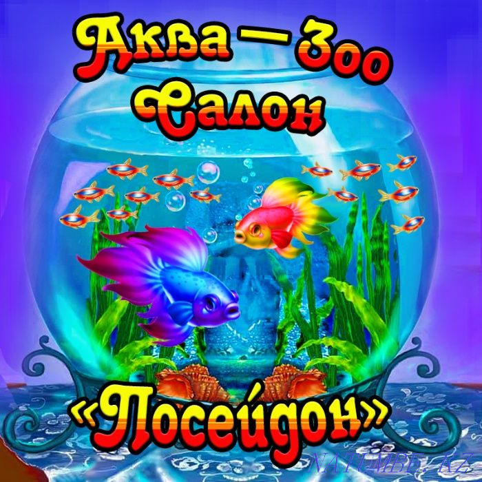 3-room apartment Ust-Kamenogorsk - photo 1