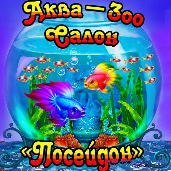 3-room apartment Ust-Kamenogorsk - photo 2