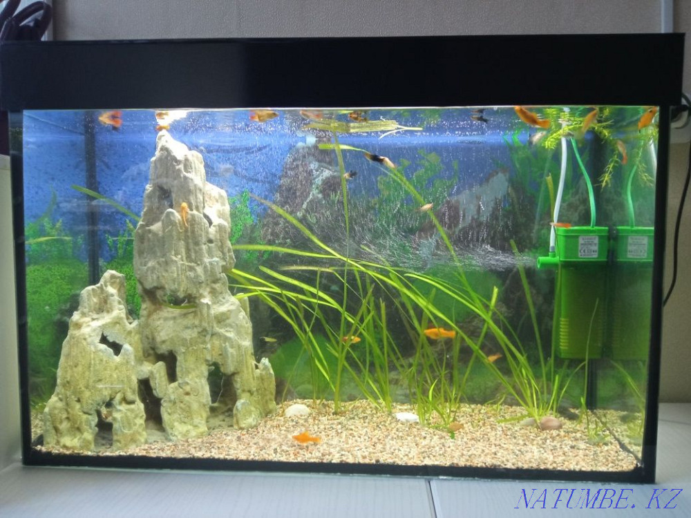 3-комнатная квартира Уральск - изображение 1