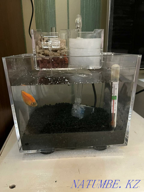 3-room apartment  - photo 2