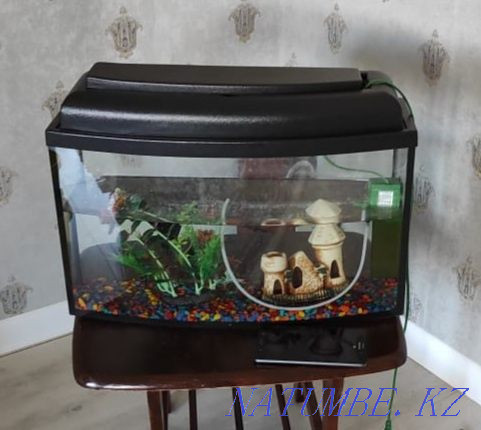 3-комнатная квартира Атырау - изображение 1