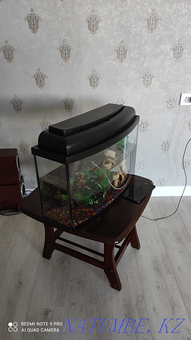 3-комнатная квартира Атырау - изображение 3