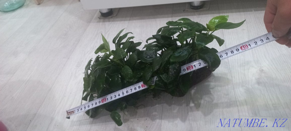 3-room apartment Pavlodar - photo 1