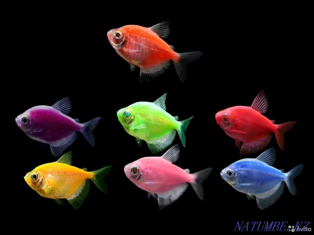 3-room apartment Temirtau - photo 1