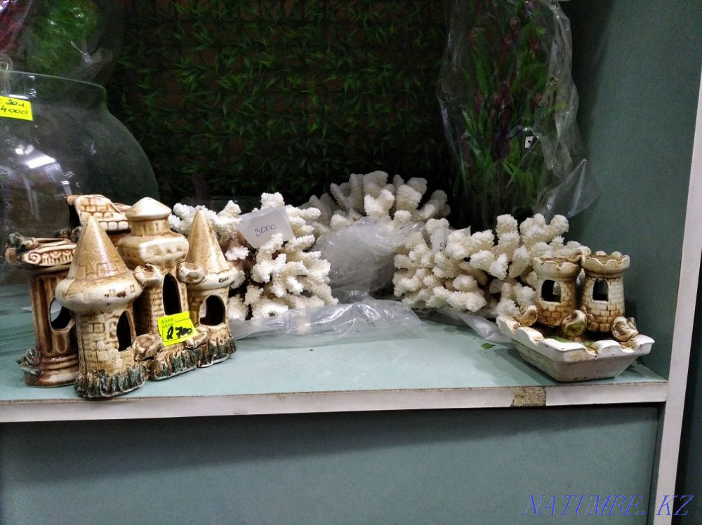 3-комнатная квартира Шымкент - изображение 5