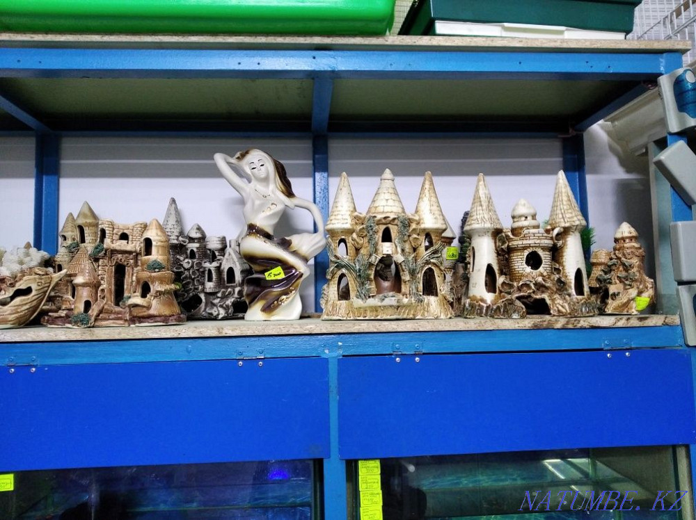 3-комнатная квартира Шымкент - изображение 4