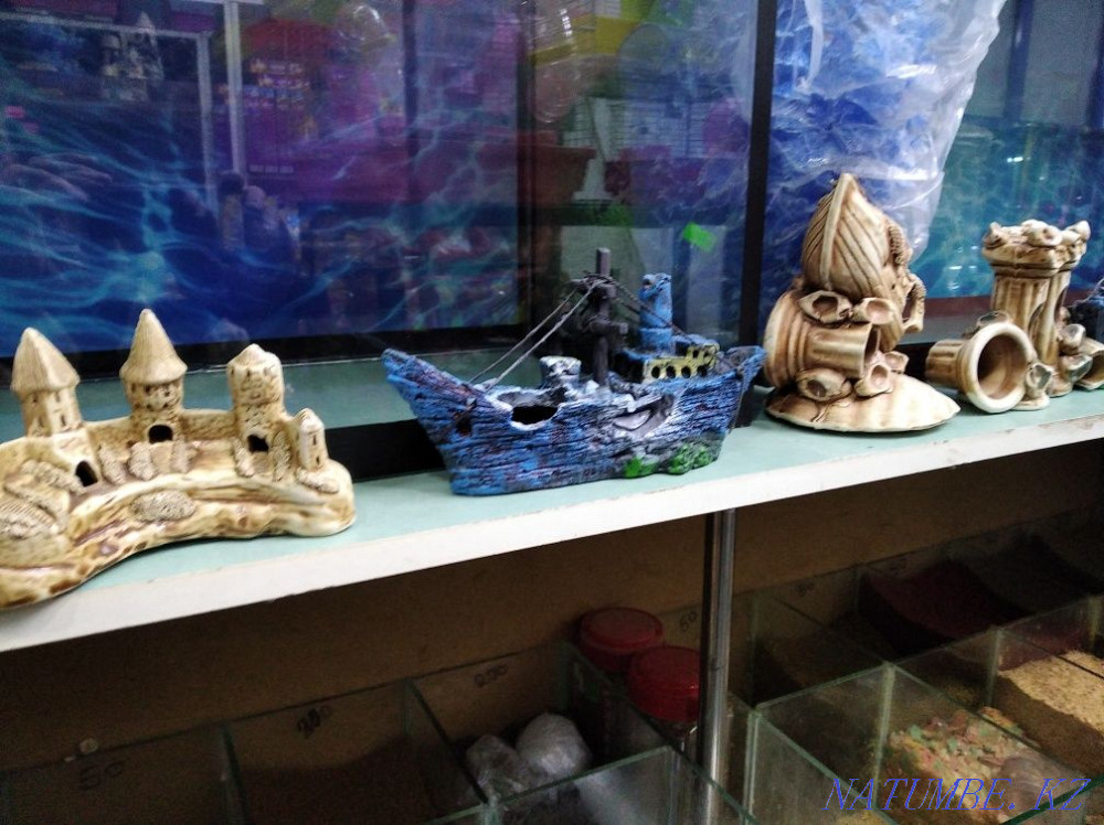 3-комнатная квартира Шымкент - изображение 1