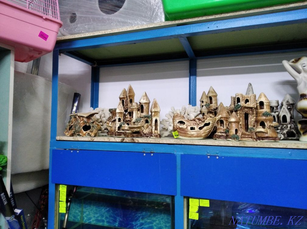 3-комнатная квартира Шымкент - изображение 3