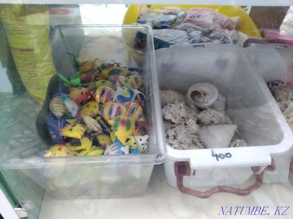 3-комнатная квартира Шымкент - изображение 2