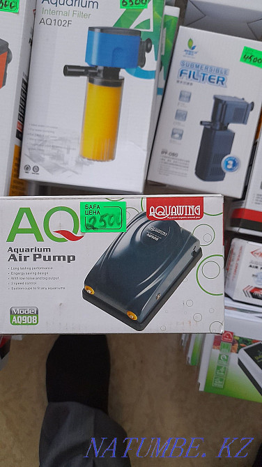 3-комнатная квартира Атырау - изображение 2