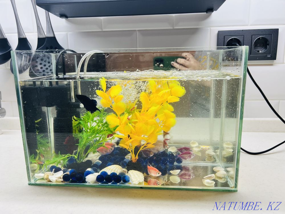 3-комнатная квартира Актобе - изображение 4