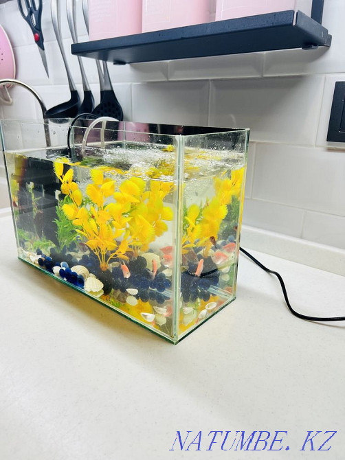 3-комнатная квартира Актобе - изображение 7