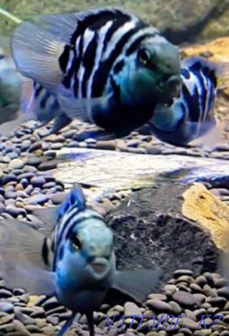 3-room apartment Aqtau - photo 1