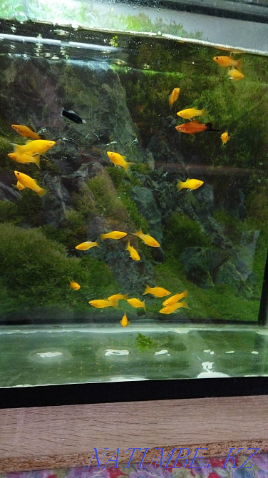 3-room apartment Aqtau - photo 1