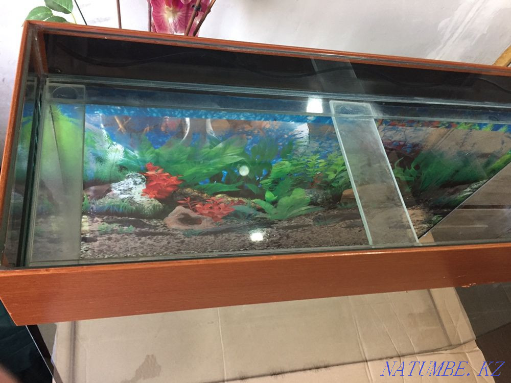 3-комнатная квартира  - изображение 2