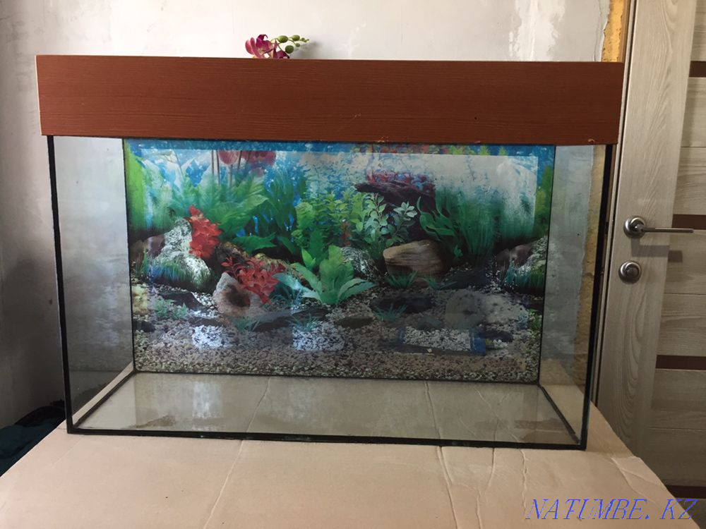 3-комнатная квартира  - изображение 1