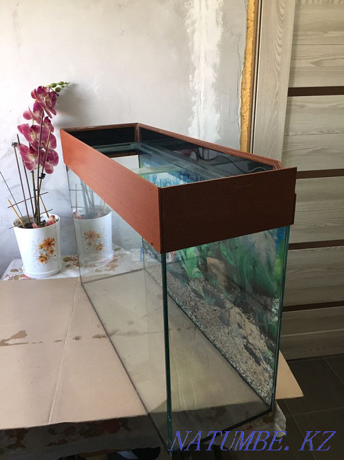 3-комнатная квартира  - изображение 4