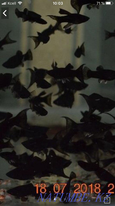 3-room apartment Aqtau - photo 1