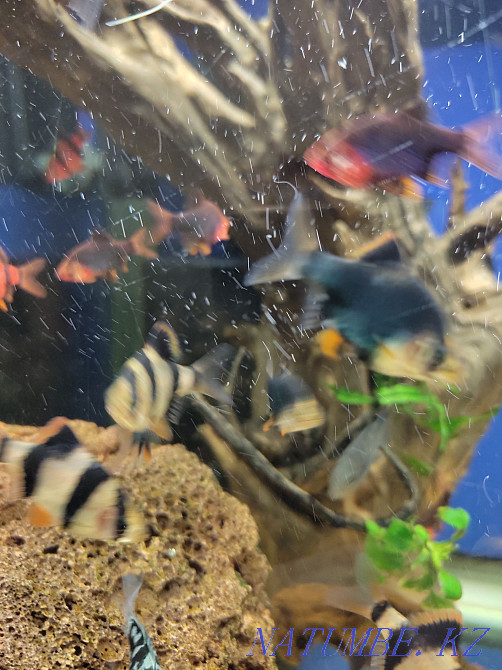 3-room apartment Aqtau - photo 1