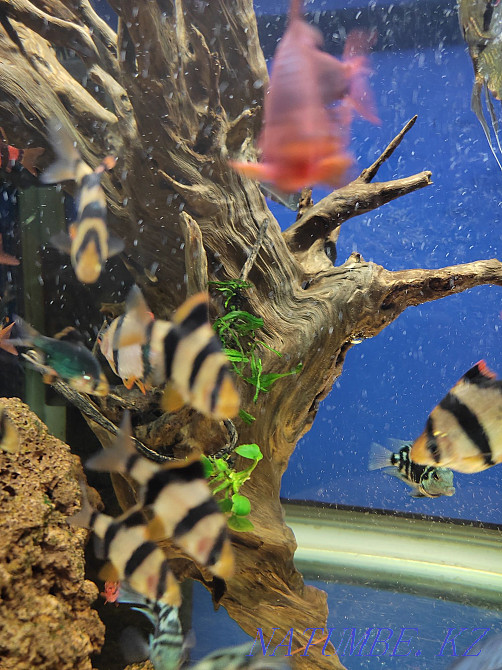 3-room apartment Aqtau - photo 2