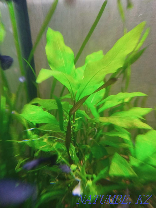 3-room apartment Oral - photo 2