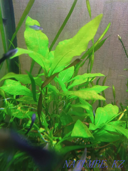 3-room apartment Oral - photo 1