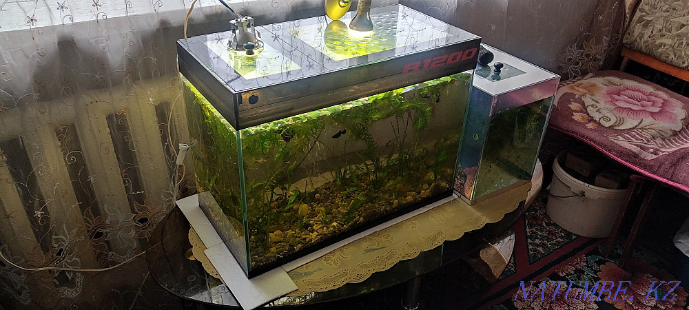 3-room apartment Temirtau - photo 4