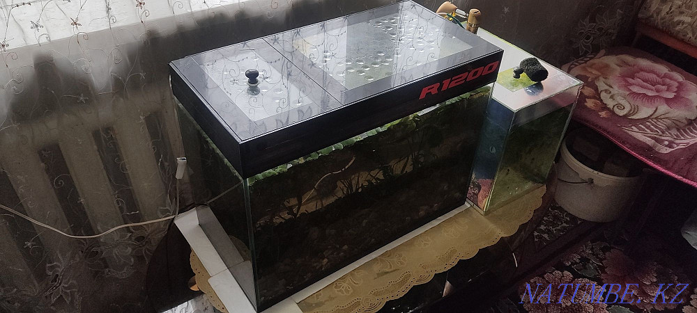 3-room apartment Temirtau - photo 6