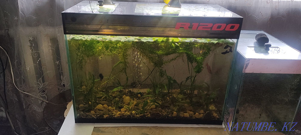 3-room apartment Temirtau - photo 5