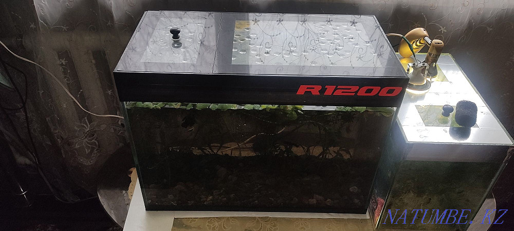 3-room apartment Temirtau - photo 3