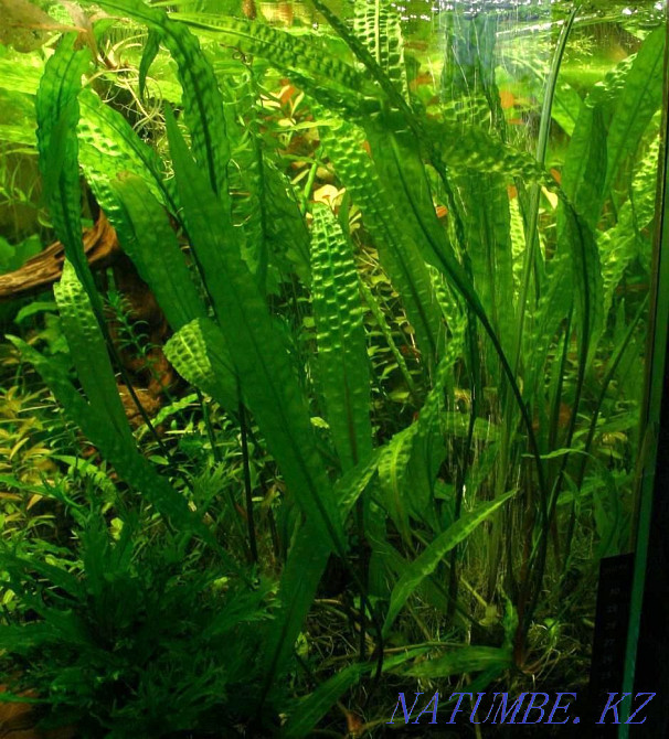 3-room apartment Temirtau - photo 2