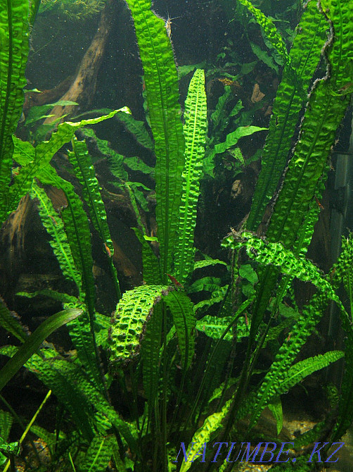 3-room apartment Temirtau - photo 1