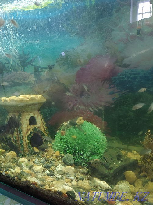 3-комнатная квартира Костанай - изображение 2